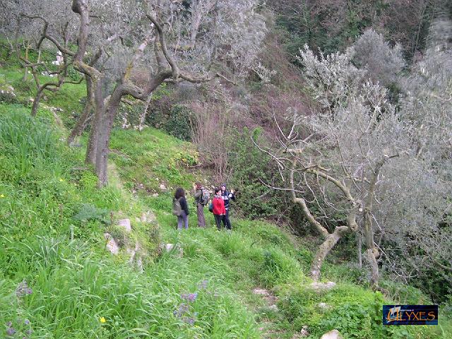 in campagna.JPG
